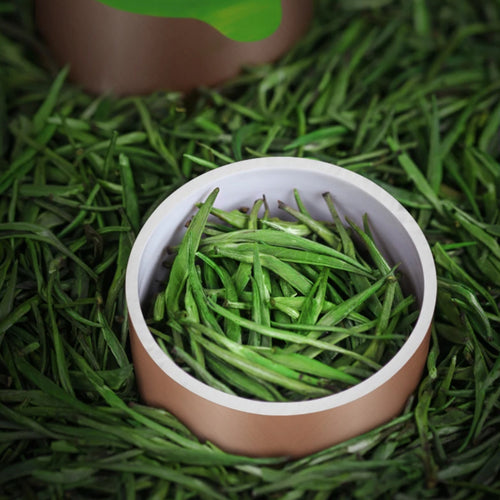 2025 Hot Sale Fumingyuan Biluochun Green Tea Small Can 20*5g